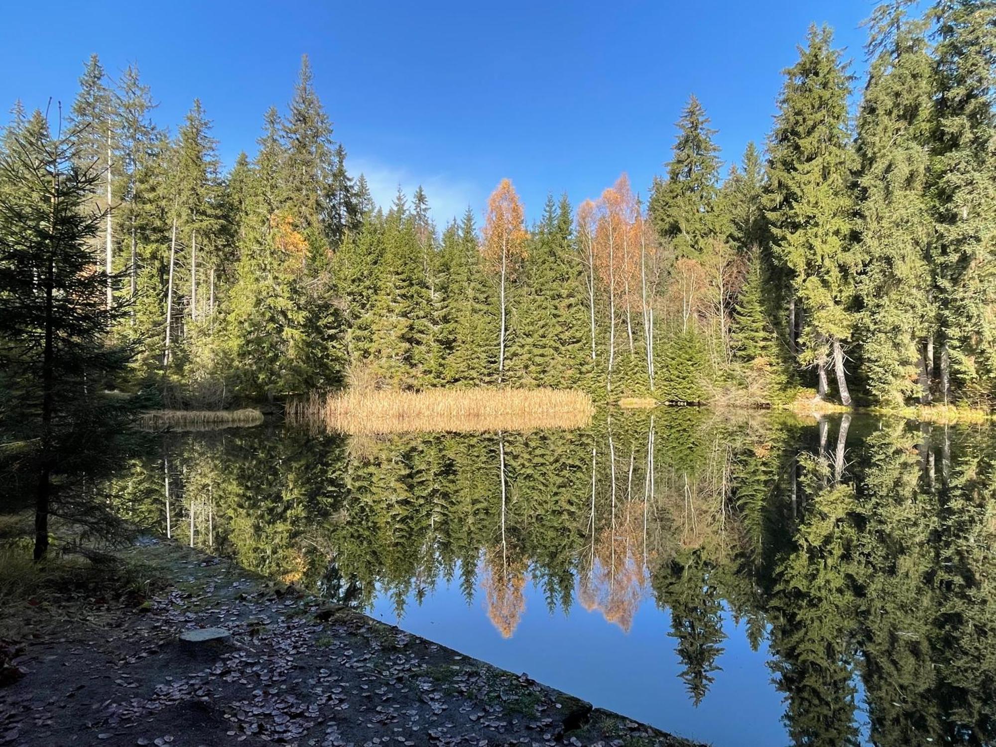 Chalupa U Kříže Harrachov Exteriér fotografie