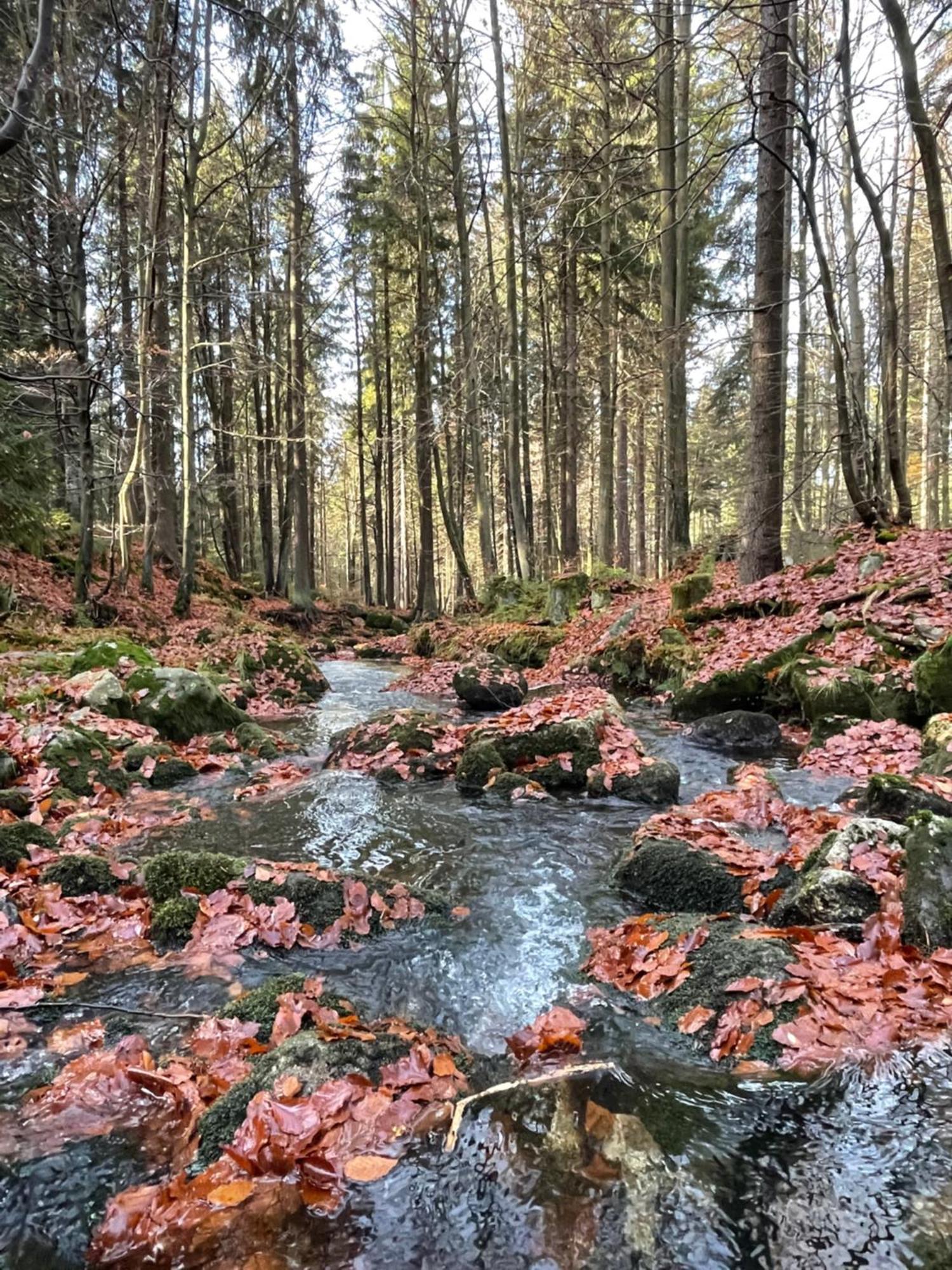 Chalupa U Kříže Harrachov Exteriér fotografie